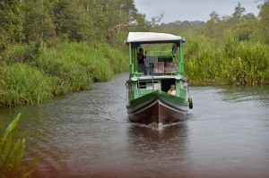 Trans Borneo Expedition 2014     